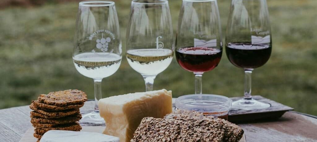 『コノスル（Cono Sur）』とは