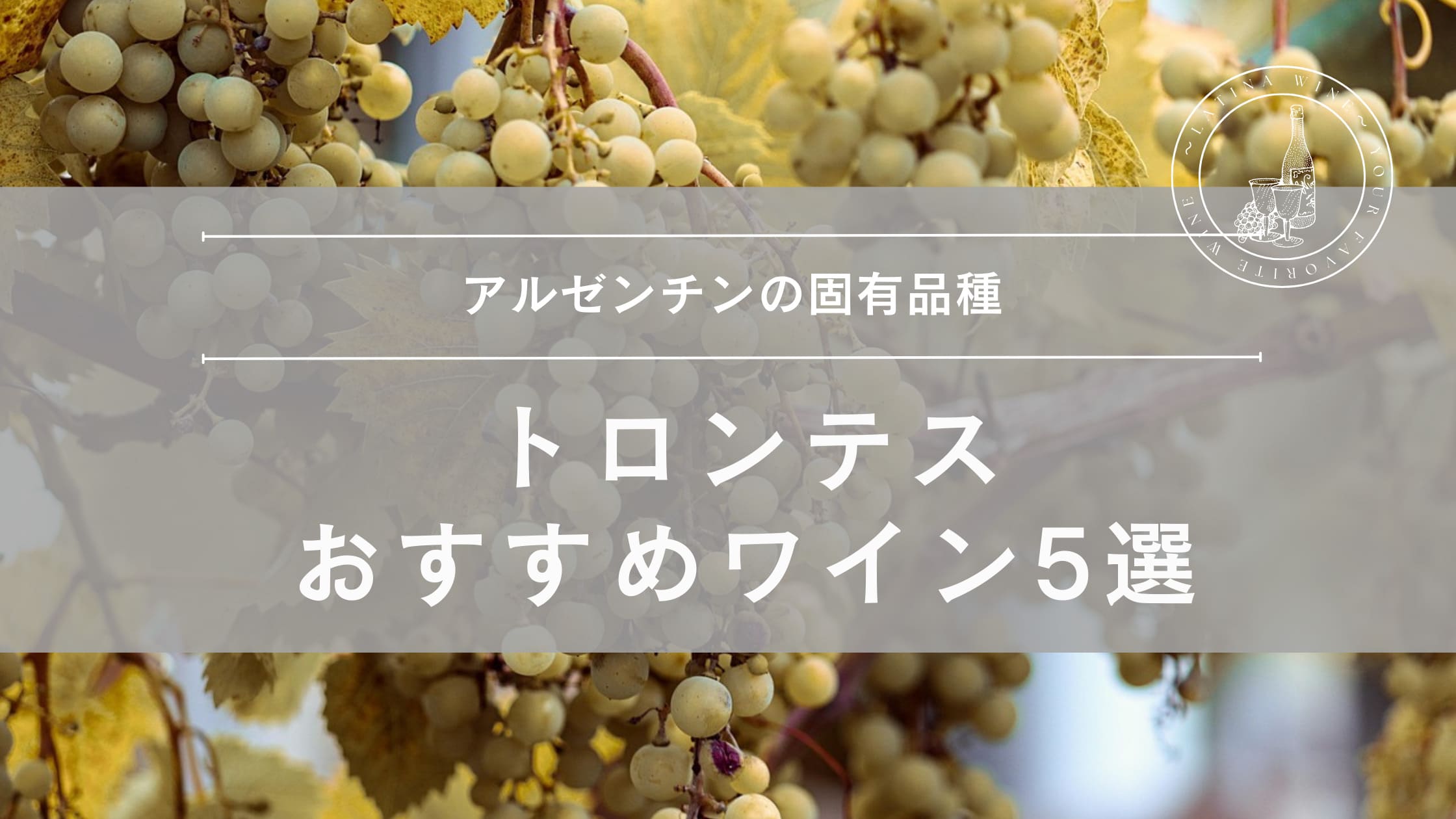 アルゼンチンの固有品種『トロンテス』おすすめワイン5選