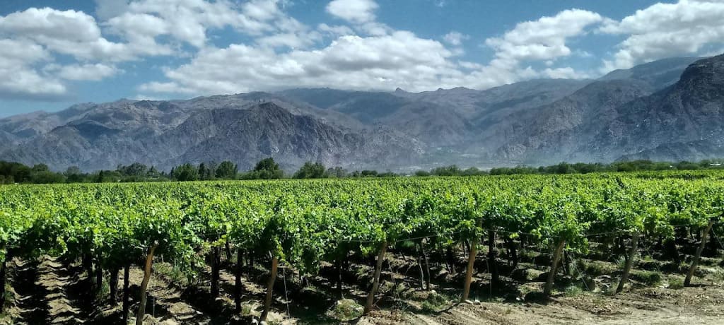 アルゼンチンのワイン産地の特徴