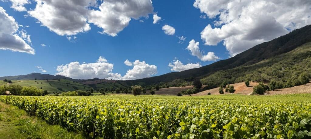 南米ワインの主な産地